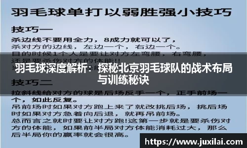 羽毛球深度解析：探秘北京羽毛球队的战术布局与训练秘诀